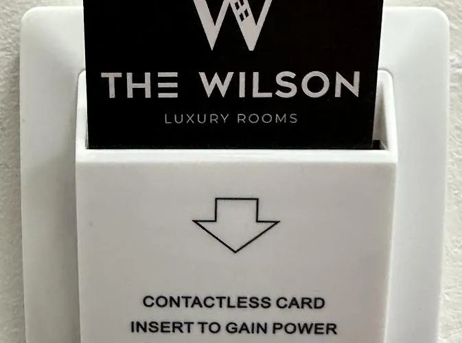The Wilson Тирана
